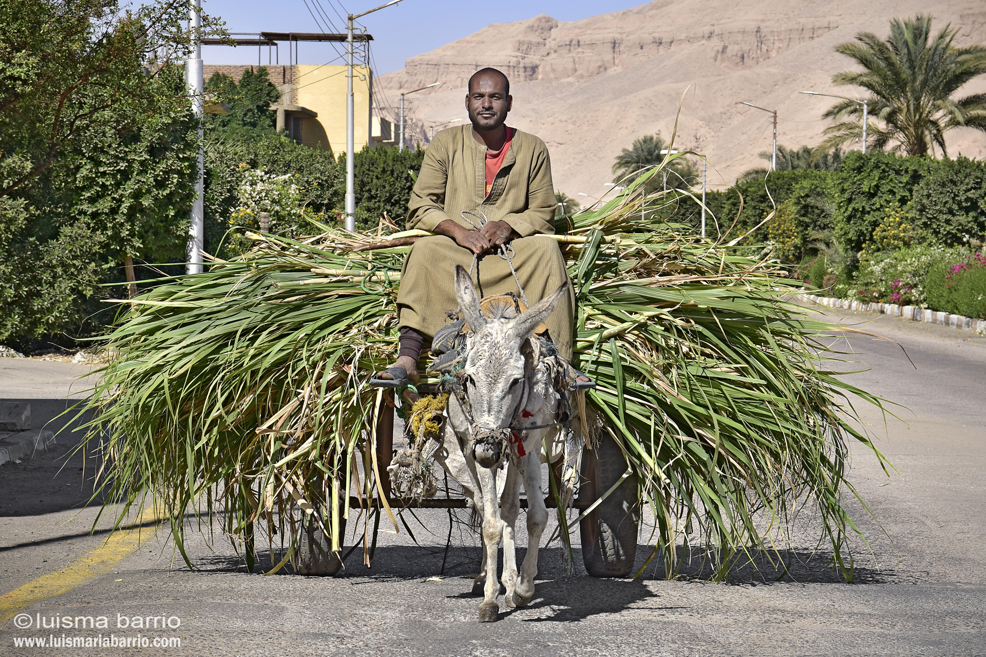 vida tradicional egipto