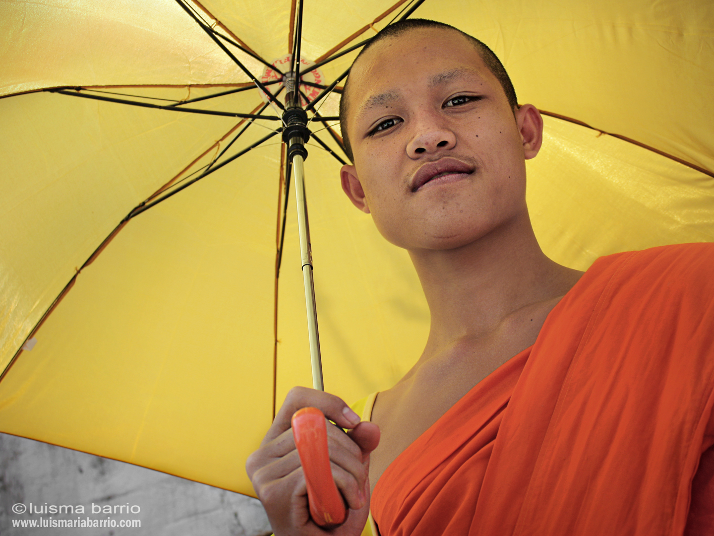 monje budista laos