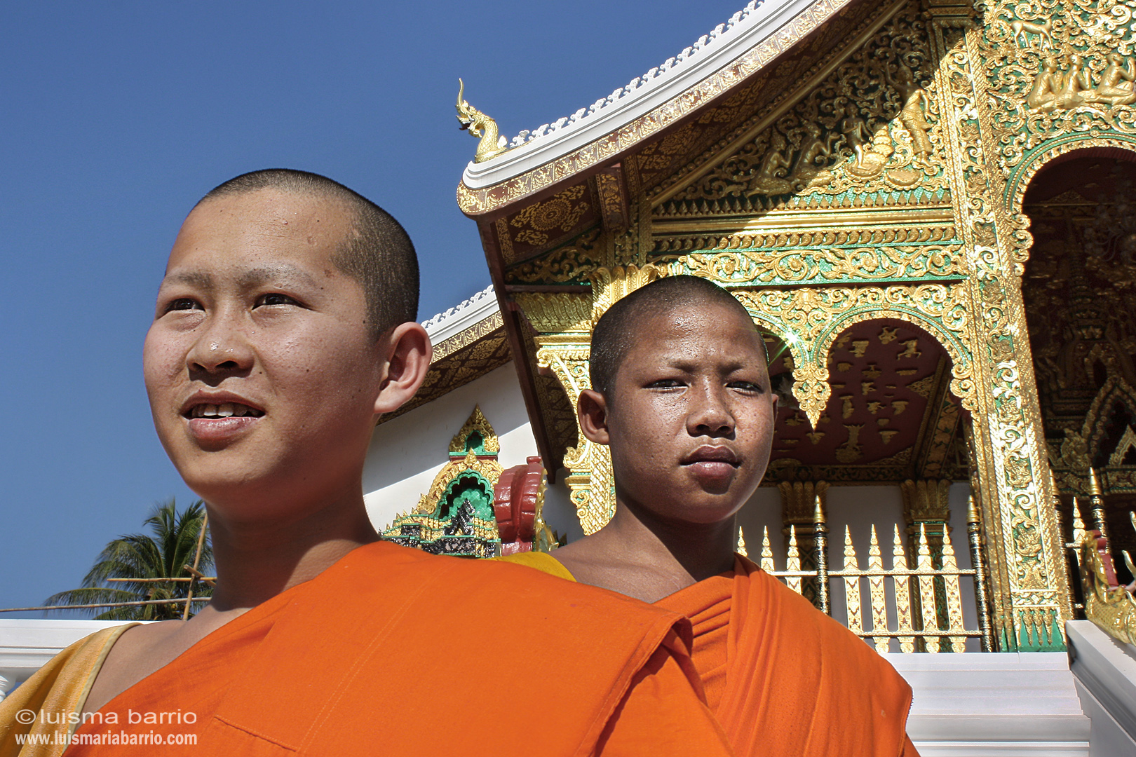 monks luang prabang laos