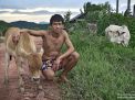 hombre laos vaca