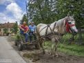 carro caballo rumania