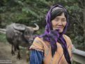 mujer  vietnam hmong bufalo